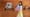 #39: Marie Kondo and her new TV show