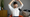 Episode of the week: Chef Aphisith Phongsavanh
