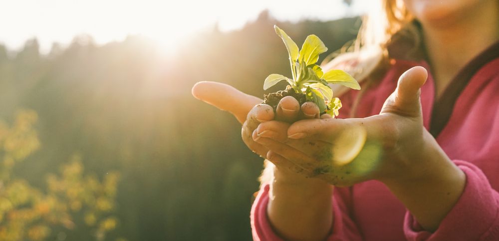 #170: Adopting a vegan lifestyle
